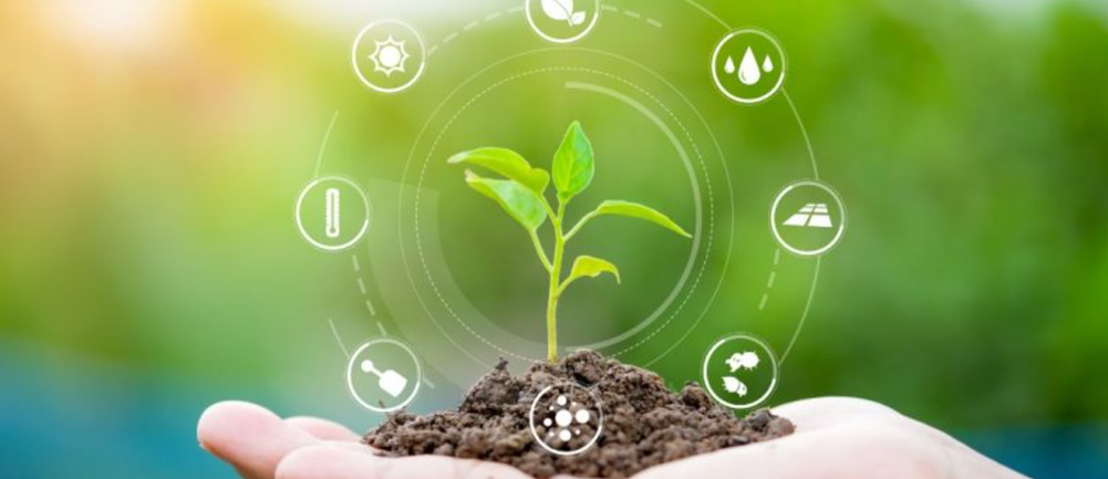 CTAC – Novos trabalhos